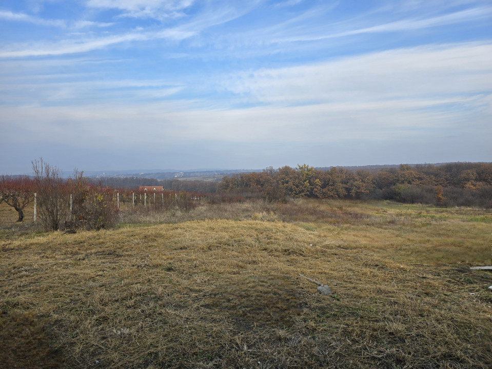 Teren intravilan Oradea - Saldabagiu de Munte 500mp