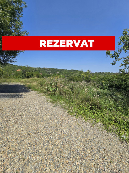 Teren extravilan zona Podgoria - Oradea