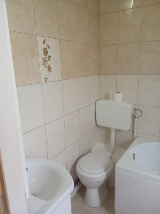 Apartament 1 camera, Rogerius, Str. Podului