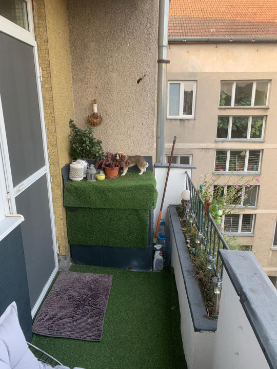 Apartament 2 camere, Rogerius, Str.Transilvaniei