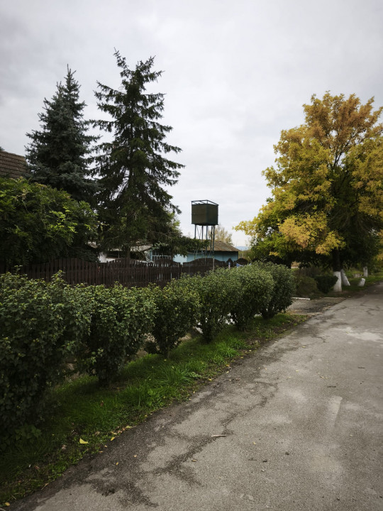 Casa cu 5.000 mp teren la E 60, zona Osorhei