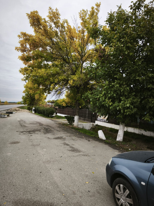 Casa cu 5.000 mp teren la E 60, zona Osorhei