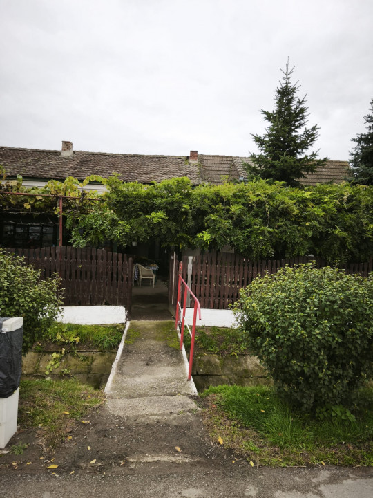 Casa cu 5.000 mp teren la E 60, zona Osorhei