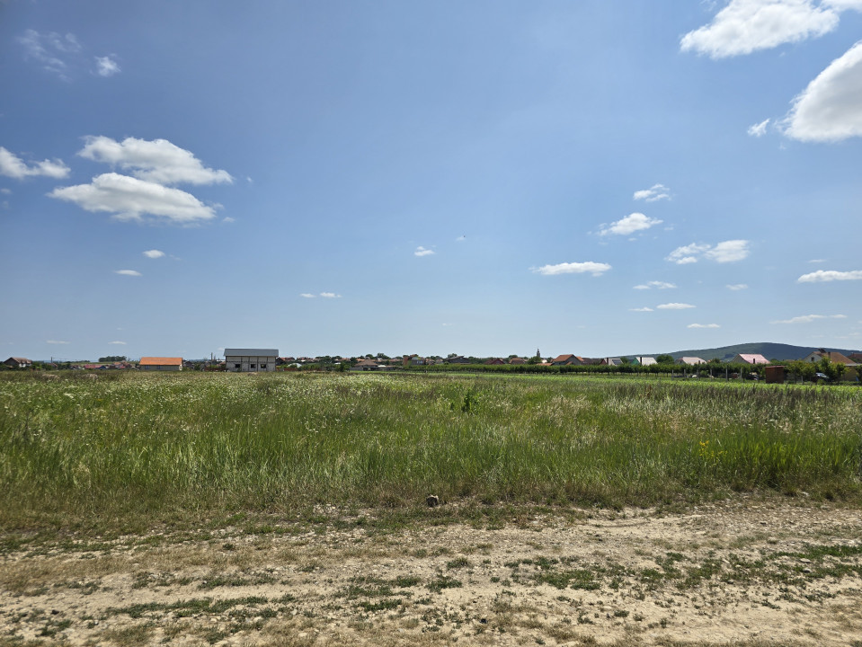 Teren intravilan | Dublu Front | 750mp | Cheriu