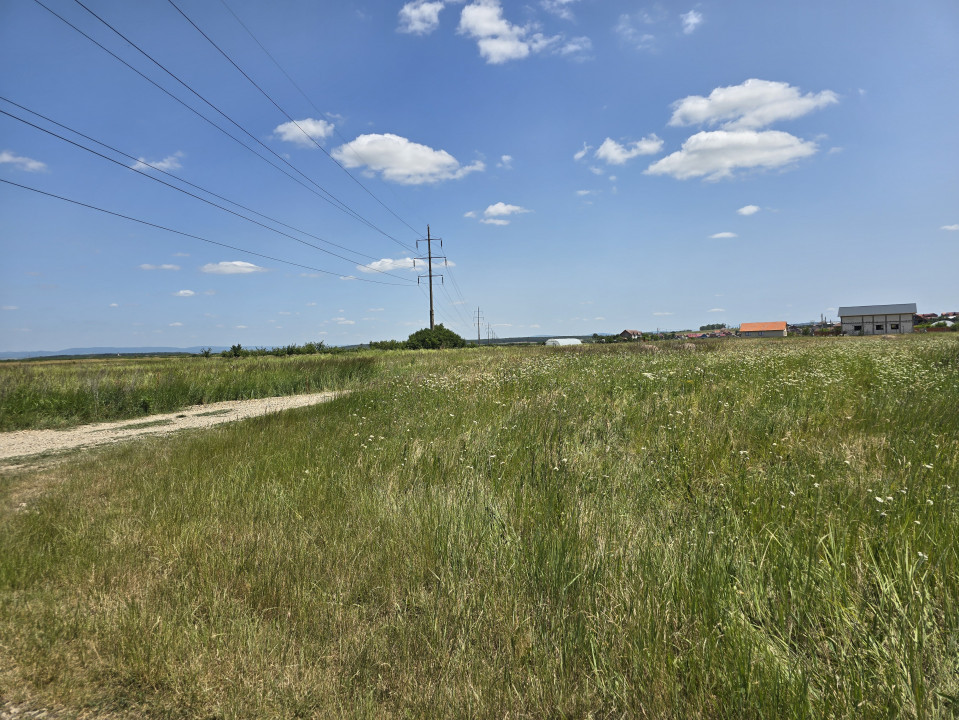 Teren intravilan | Dublu Front | 750mp | Cheriu