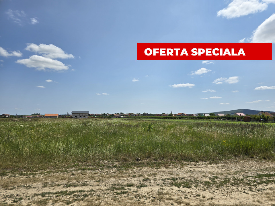 Teren intravilan | Dublu Front | 750mp | Cheriu
