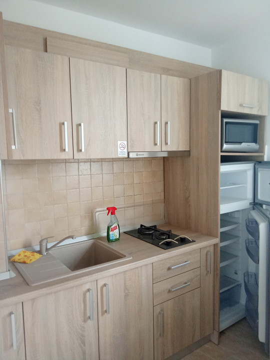 Apartament 1 camera,Rogerius, Str. Aluminei