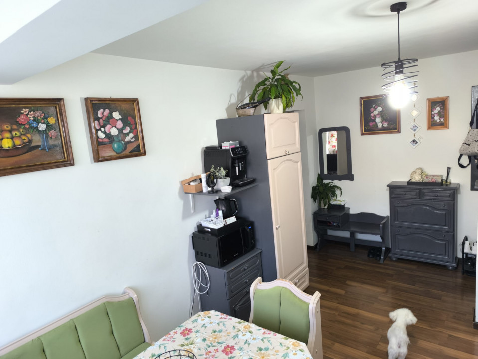 Apartament 3 camere, Rogerius, Str. Corneliu Coposu