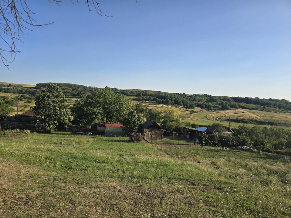 Evadare Verde lângă Oradea – Casă cu Potențial Turistic și Peisaj Natural