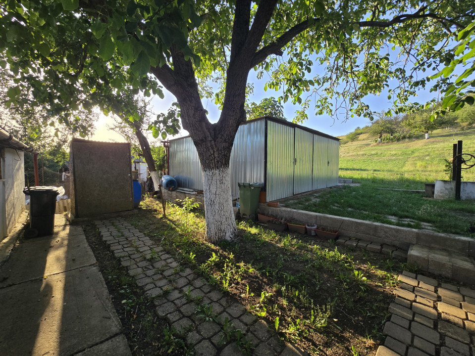 Evadare Verde lângă Oradea – Casă cu Potențial Turistic și Peisaj Natural