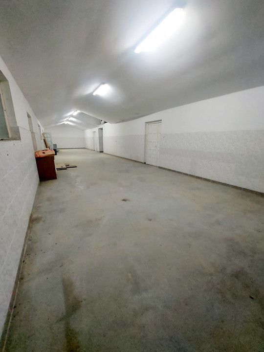 Hala de vânzare – Ineu, județul Bihor