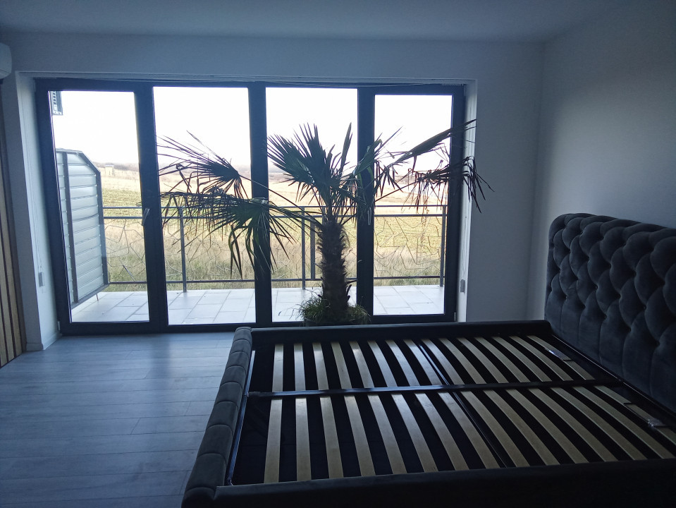 Apartament 2 camere, Demisol cu terasa Baile Felix (Cordau )