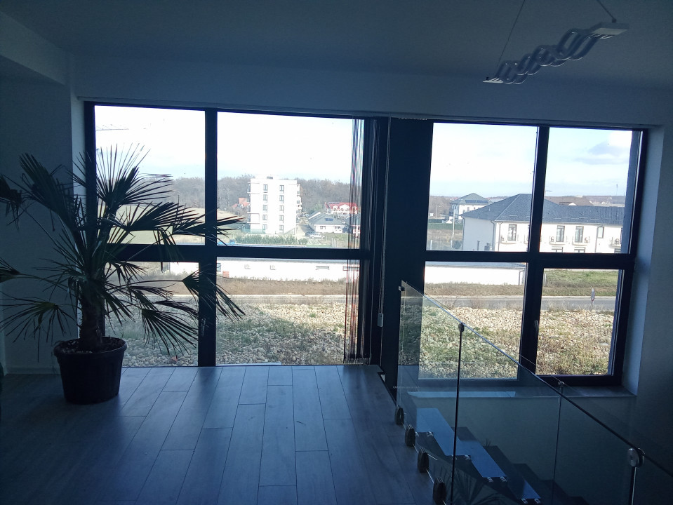 Apartament 2 camere, Demisol ,Baile Felix ( Cordau )