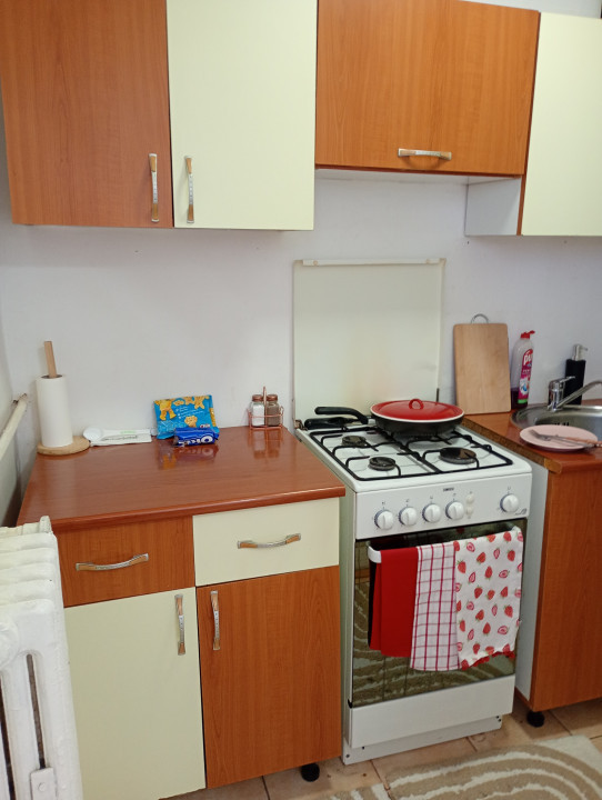 Apartament 1 camera, Rogerius, Str. Aluminei