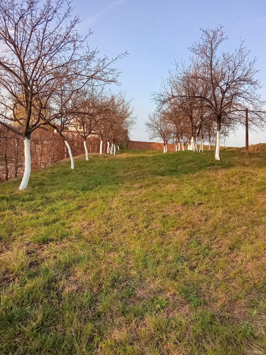 Teren Alparea , Str. Principala