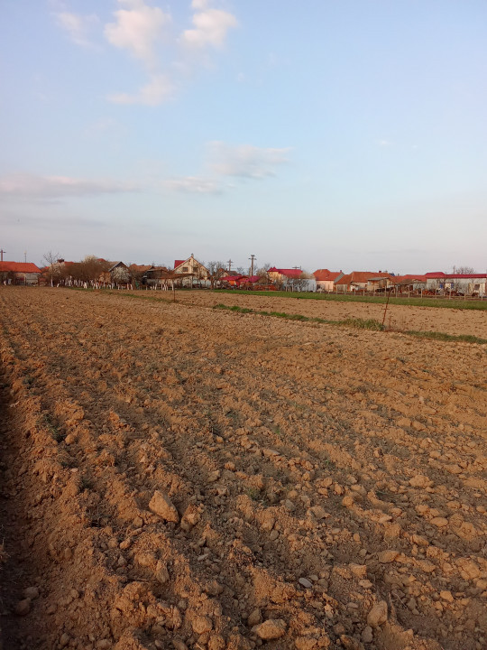 Teren Alparea , Str. Principala