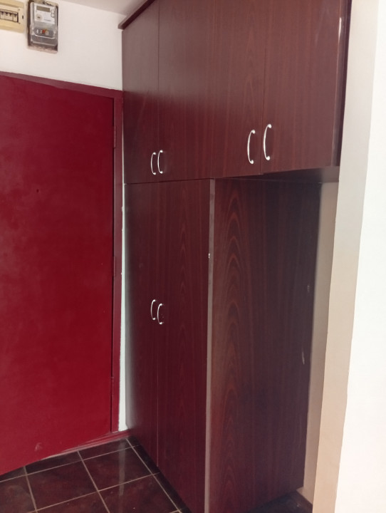 Apartament 1 camera, Sanmartin, Str. Ioan Slavici