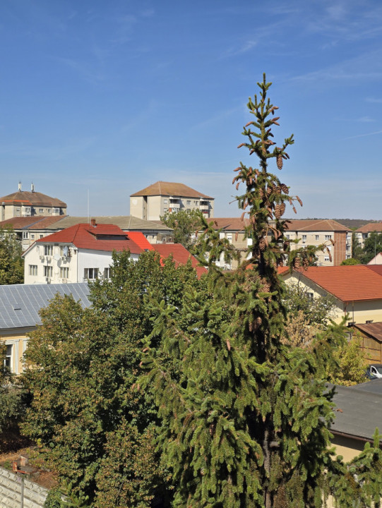 Apartament 2 camere | Decomandat | Renovabil | Rogerius - Str. Lalescu